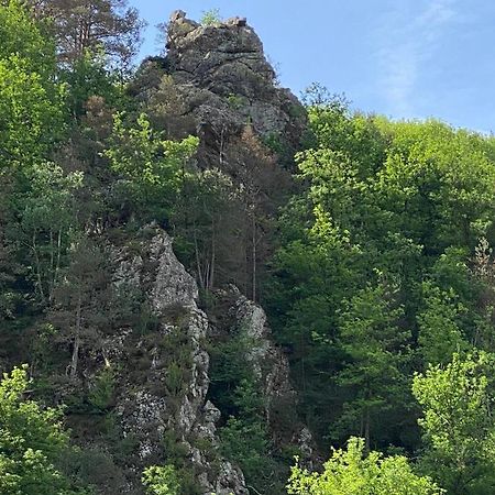 Apartament Duplex Roca Del Sucut Ribes De Freser Zewnętrze zdjęcie