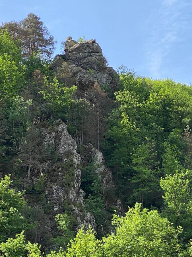 Apartament Duplex Roca Del Sucut Ribes De Freser Zewnętrze zdjęcie